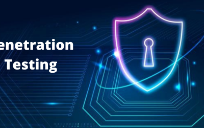 Penetration Testing- The Most Sought After Job to Pursue in 2022