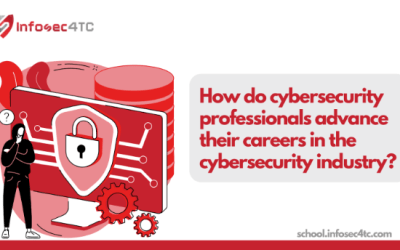 How do cybersecurity professionals advance their careers in the cybersecurity industry?